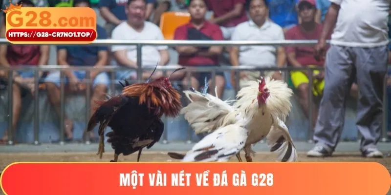 Một vài nét về đá gà G28