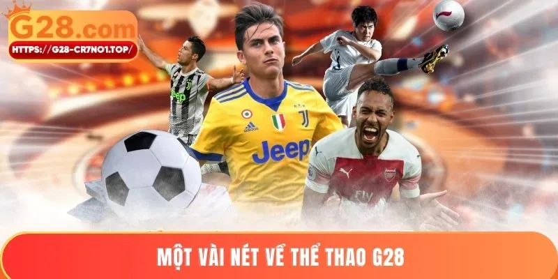 Một vài nét về thể thao G28